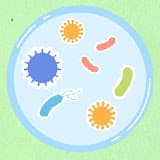 Ms Beh @behlogy thumbnail